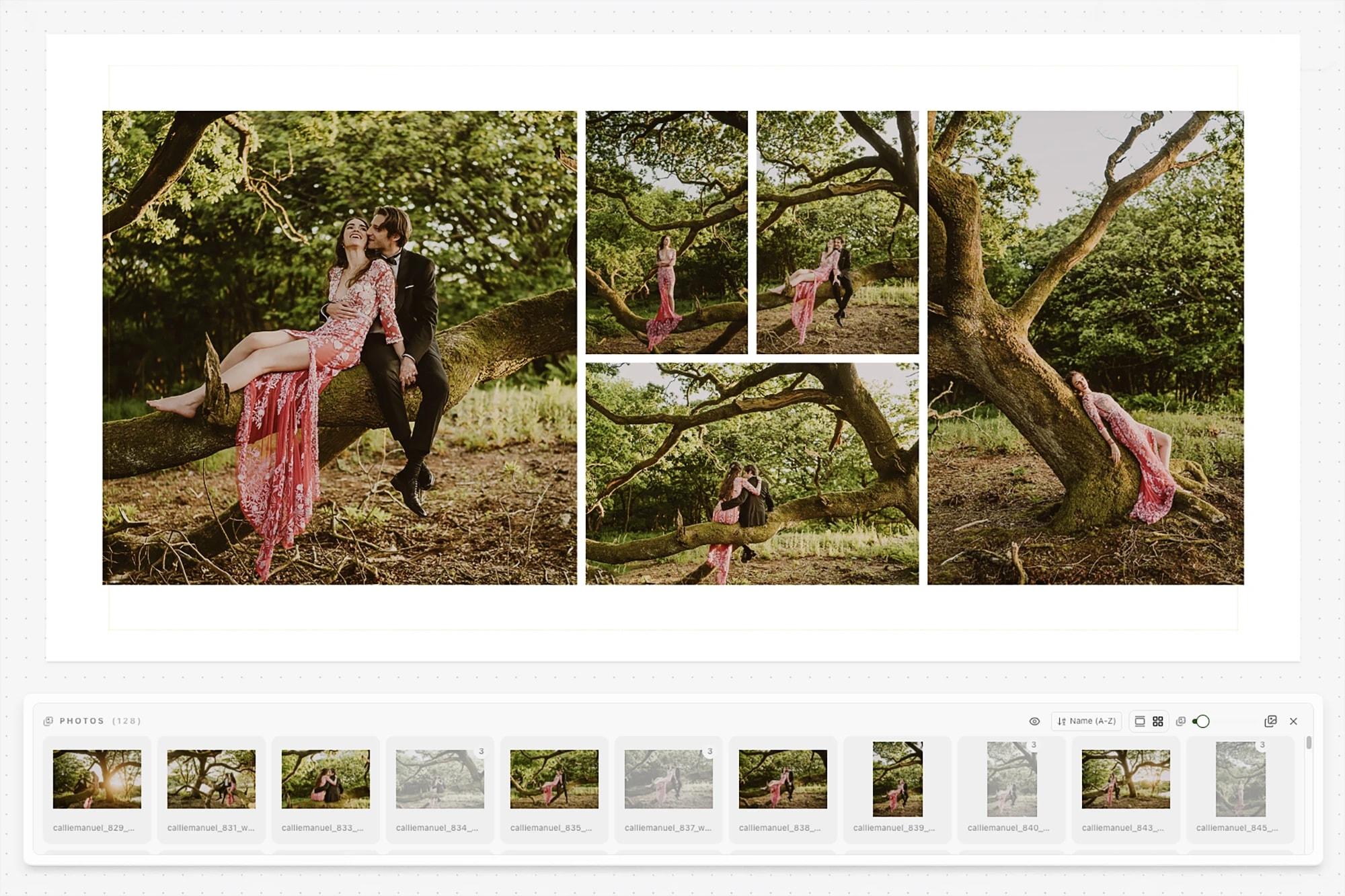 Spreadu album designer interface